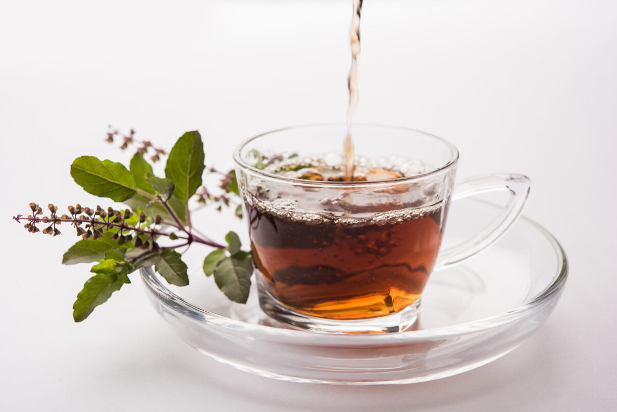 What is Tea? – Tea Botanics